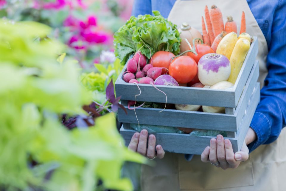 Lenoir County Farmers Market