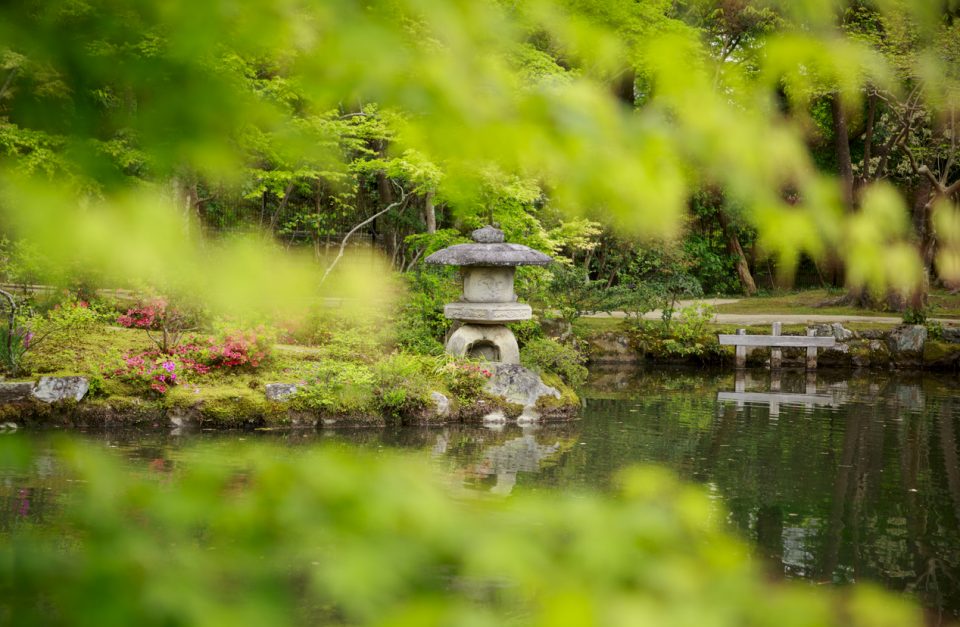 North Carolina Gardens