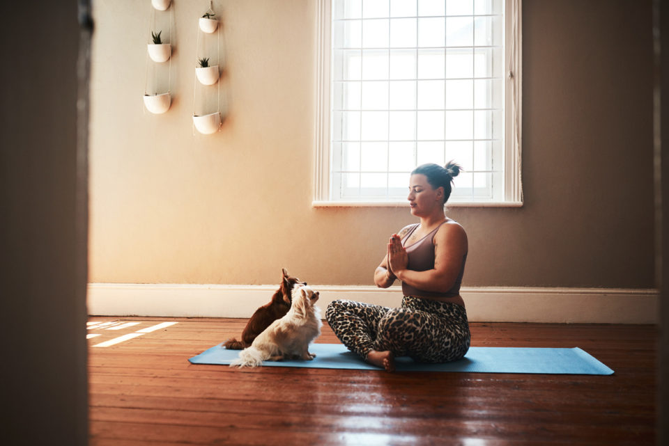Shot of a young woman meditating on a yoga mat alongside her dogs at home