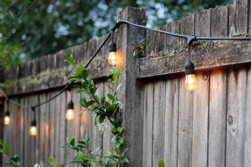 Summertime backyard fence with lights