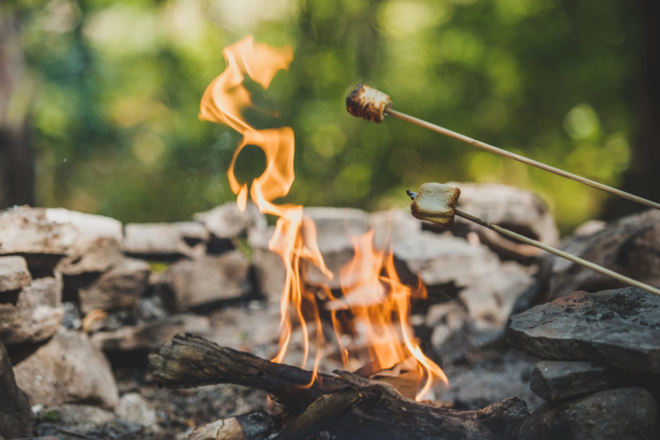 Roasting Marshmallows over a camp fire.