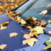 The Best Tips For Caring For Your Vehicle In Fall